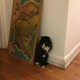 Contemplating life’s rich tapestry.
